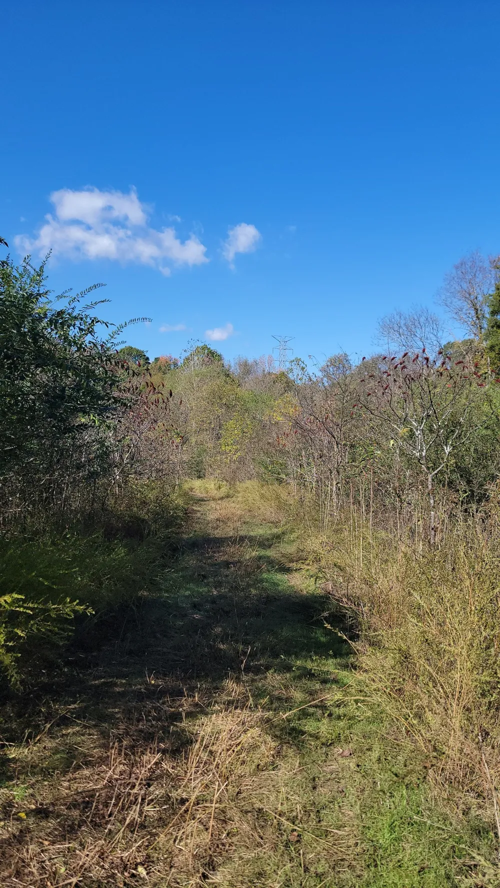 0 Briana Rd Lebanon, TN 37087