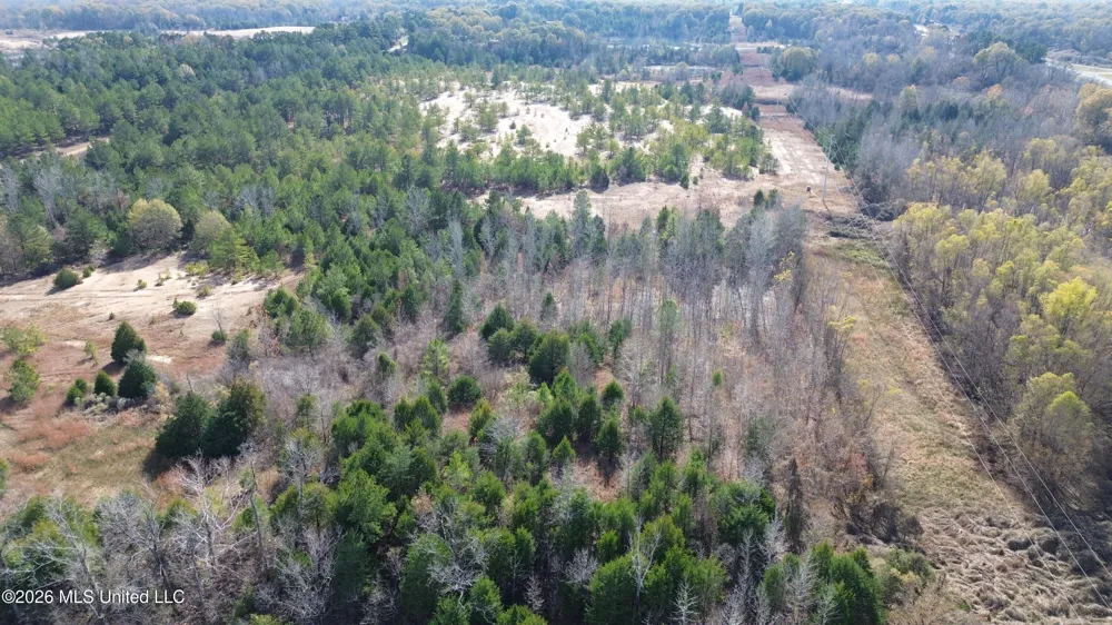 Us 49 Bentonia, MS 39040