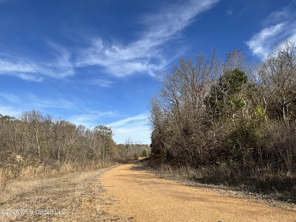 Us 49 Bentonia, MS 39040