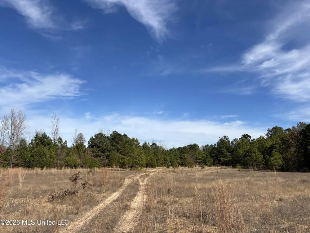 Us 49 Bentonia, MS 39040