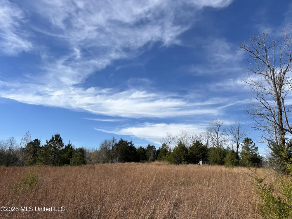 Us 49 Bentonia, MS 39040