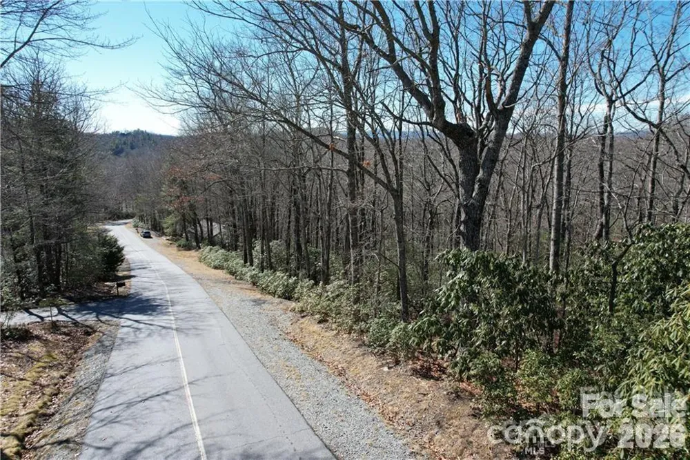 U19 L053 Gawanv Court Brevard, NC 28712