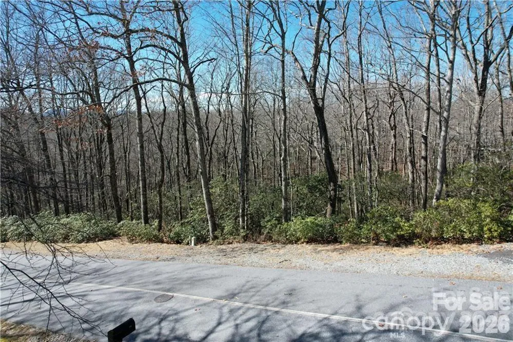 U19 L053 Gawanv Court Brevard, NC 28712