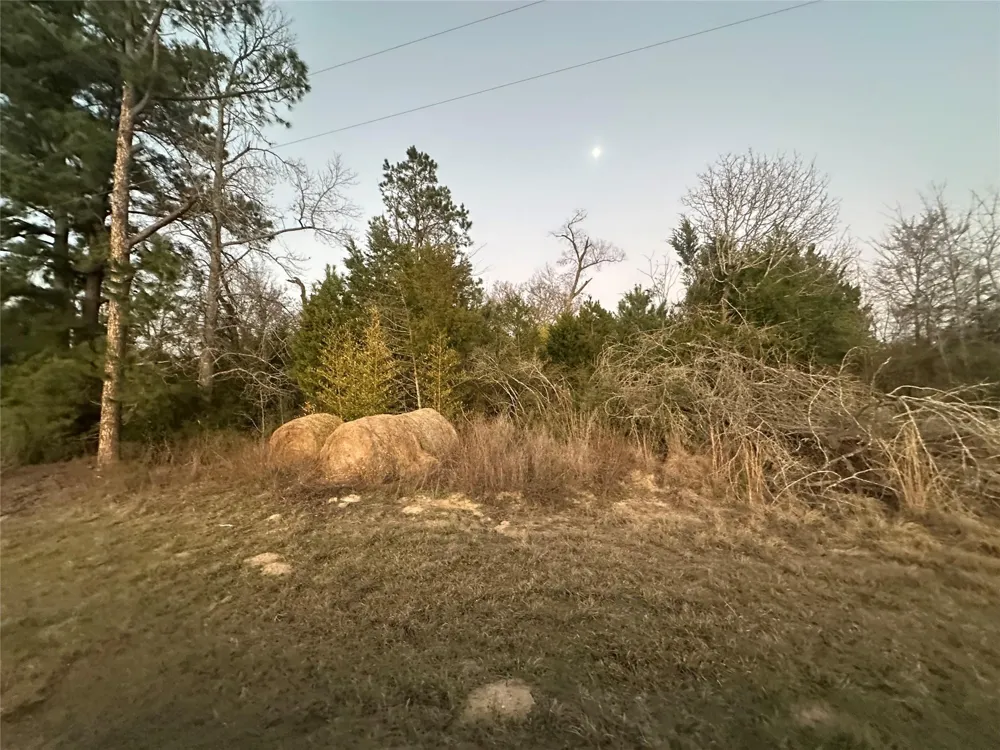 3 County Road 443 Marquez, TX 77865