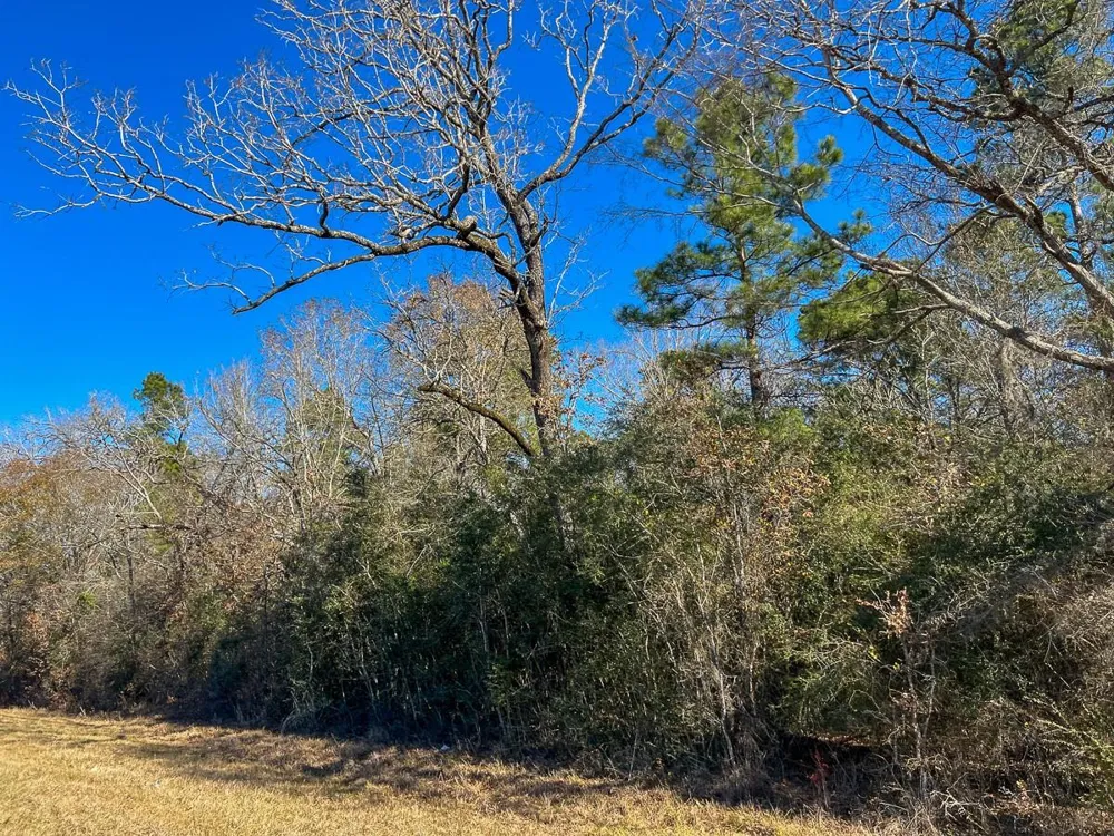 12 Highway 287 Pennington, TX 75845