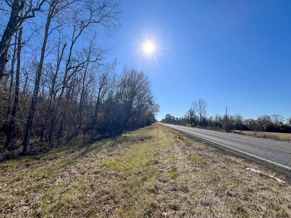 12 Highway 287 Pennington, TX 75845