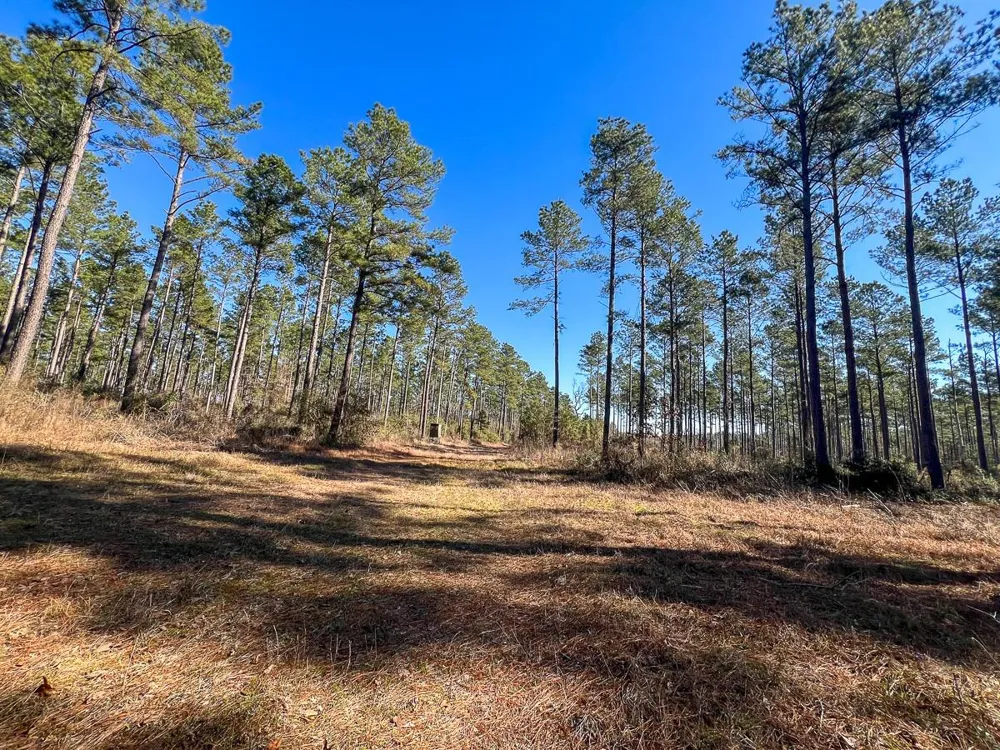 12 Highway 287 Pennington, TX 75845