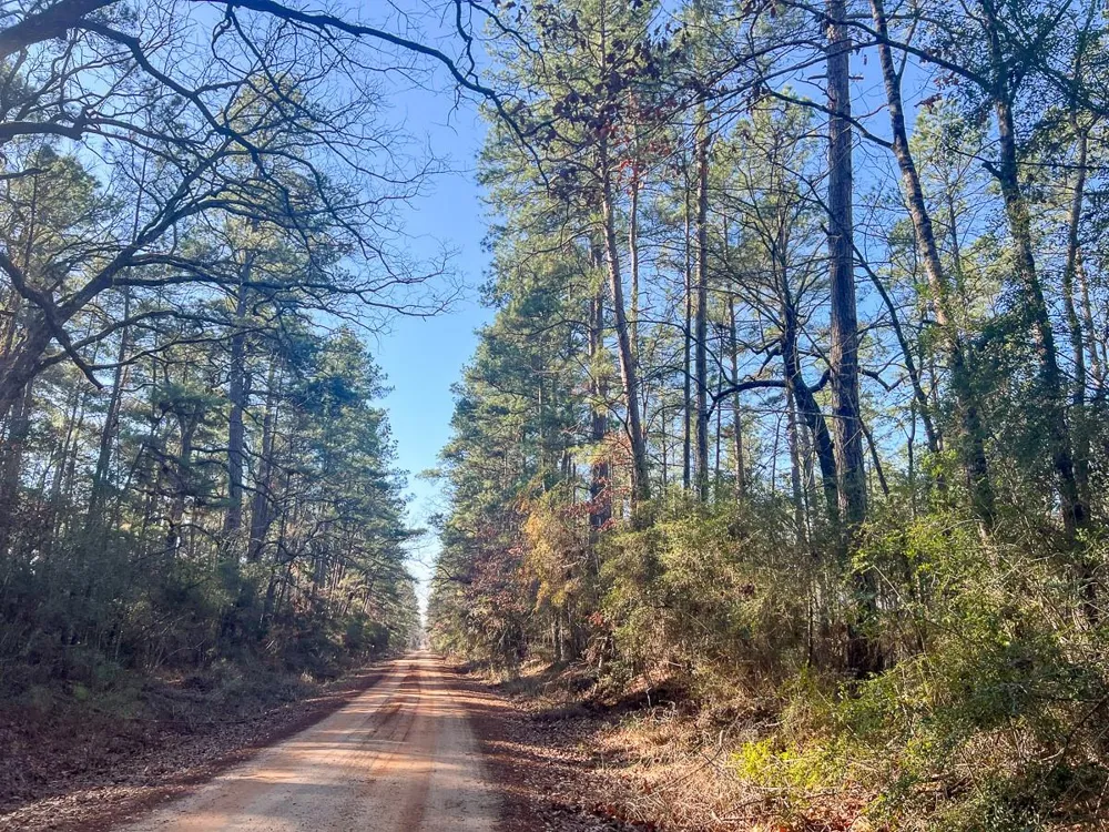 12 Highway 287 Pennington, TX 75845
