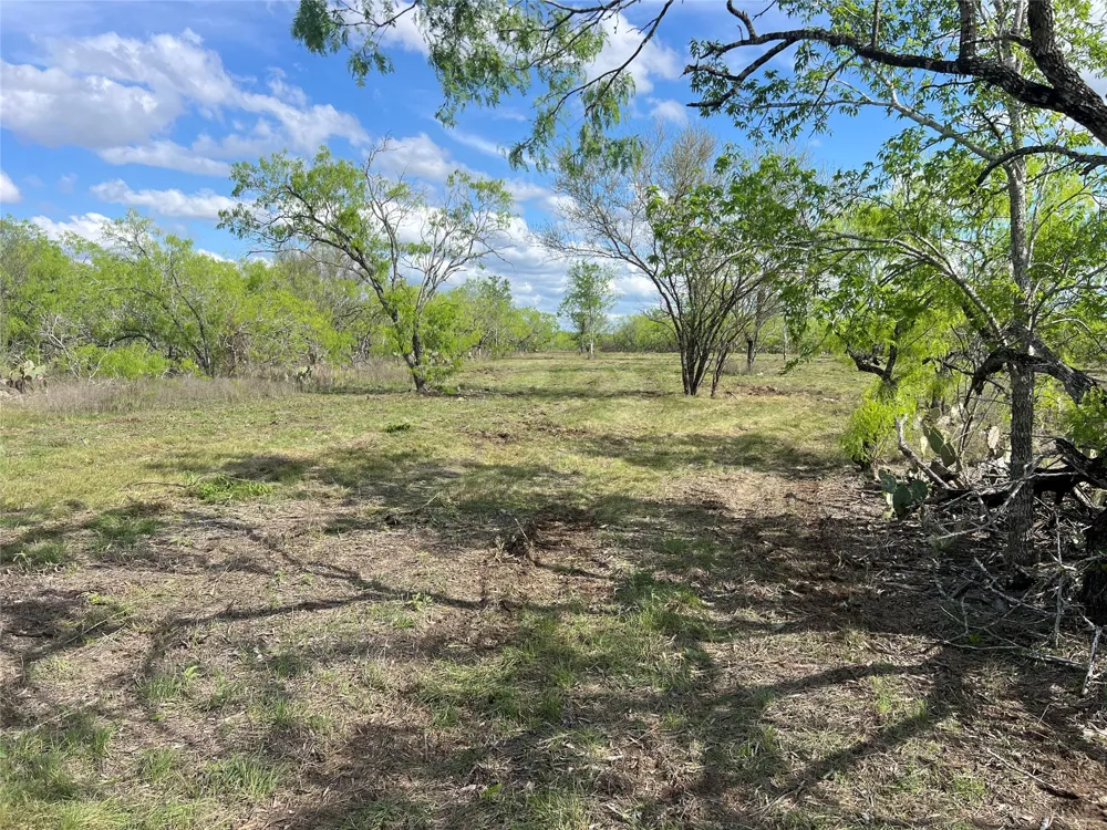 Cr 180 Smiley, TX 78159