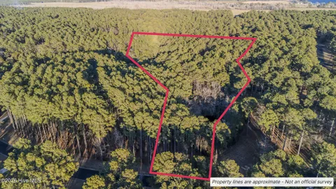 88 Cape Hatteras Point