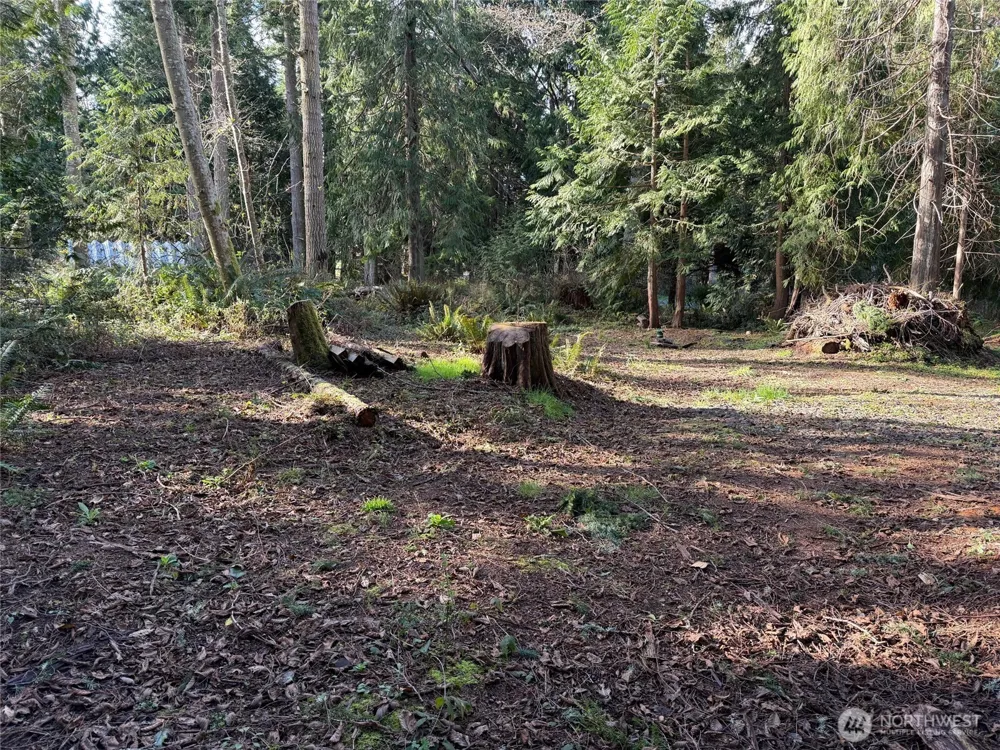 4843 NE Twin Spits Road Hansville, WA 98340