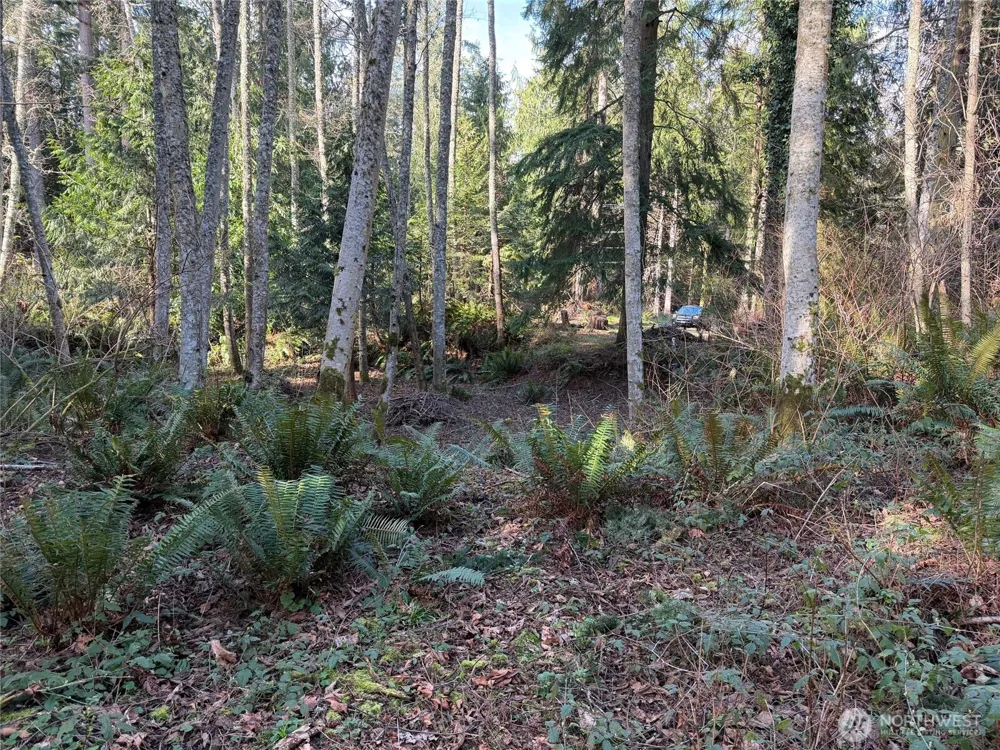 4843 NE Twin Spits Road Hansville, WA 98340