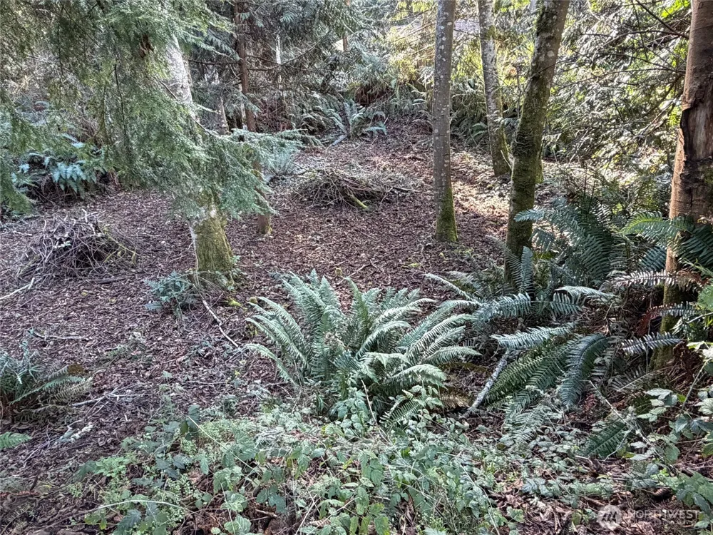 4843 NE Twin Spits Road Hansville, WA 98340