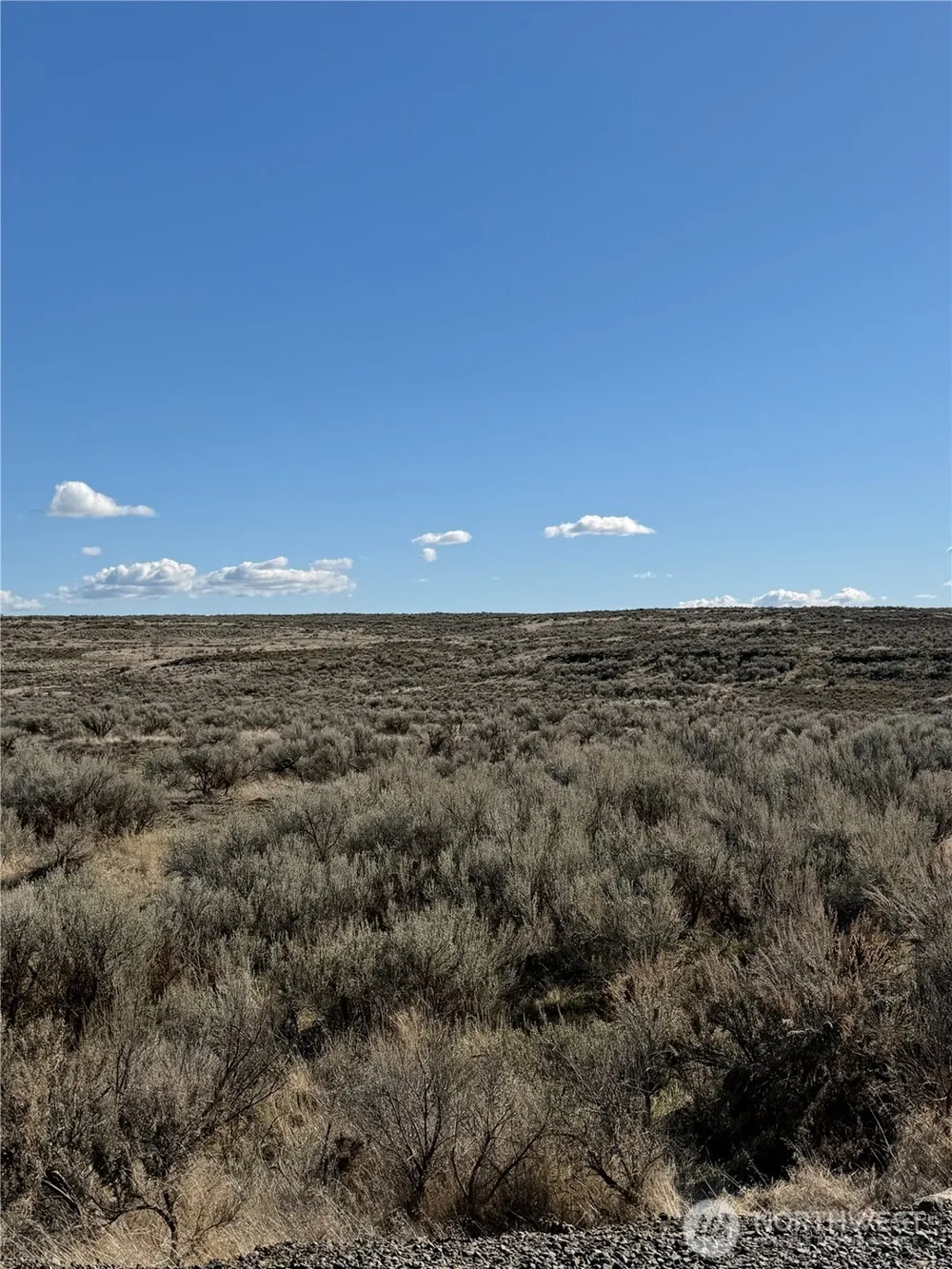 0 Lot 225 Eagle Springs Ranch Wilson Creek, WA 98860