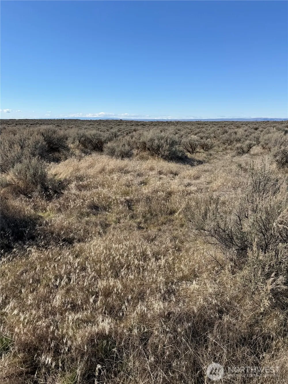 0 Lot 225 Eagle Springs Ranch Wilson Creek, WA 98860