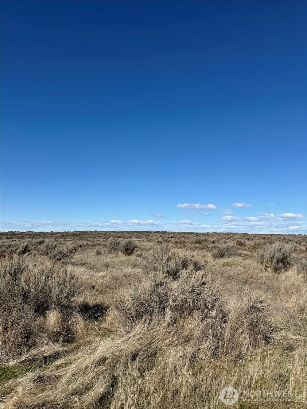 0 Lot 225 Eagle Springs Ranch Wilson Creek, WA 98860