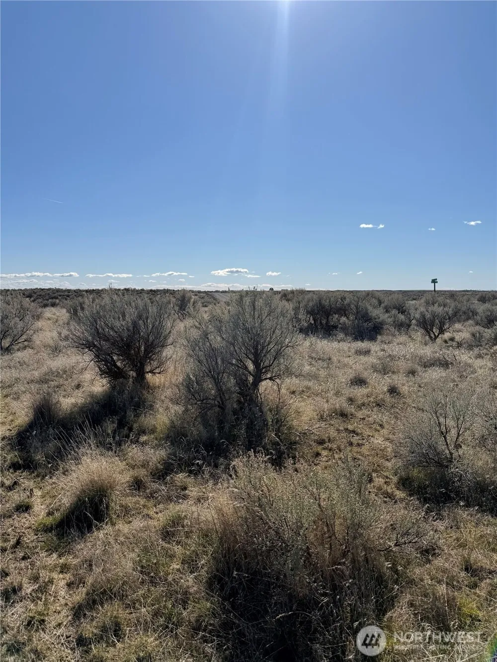 0 Lot 225 Eagle Springs Ranch Wilson Creek, WA 98860