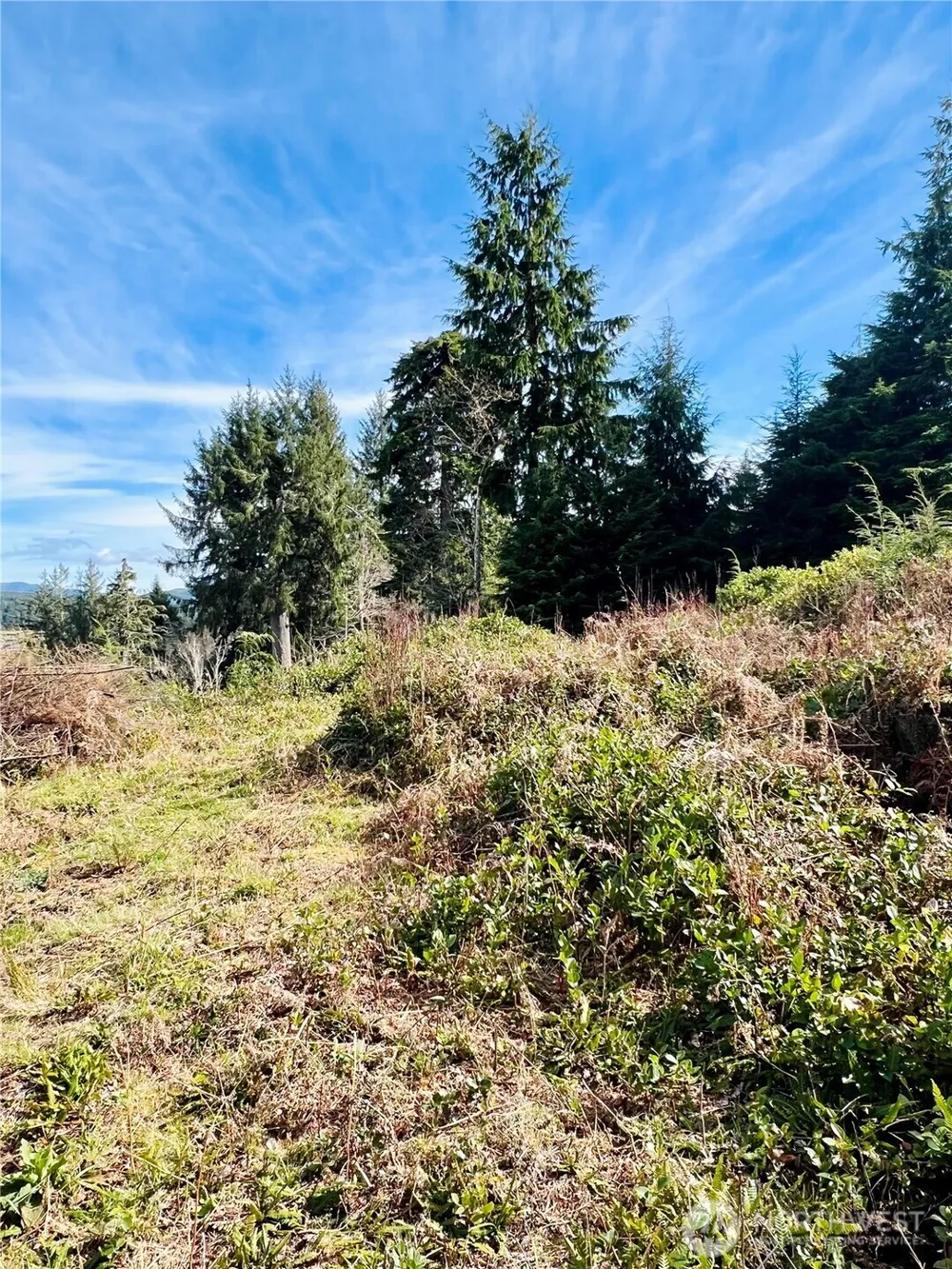 26 Lynn Point Lane South Bend, WA 98586