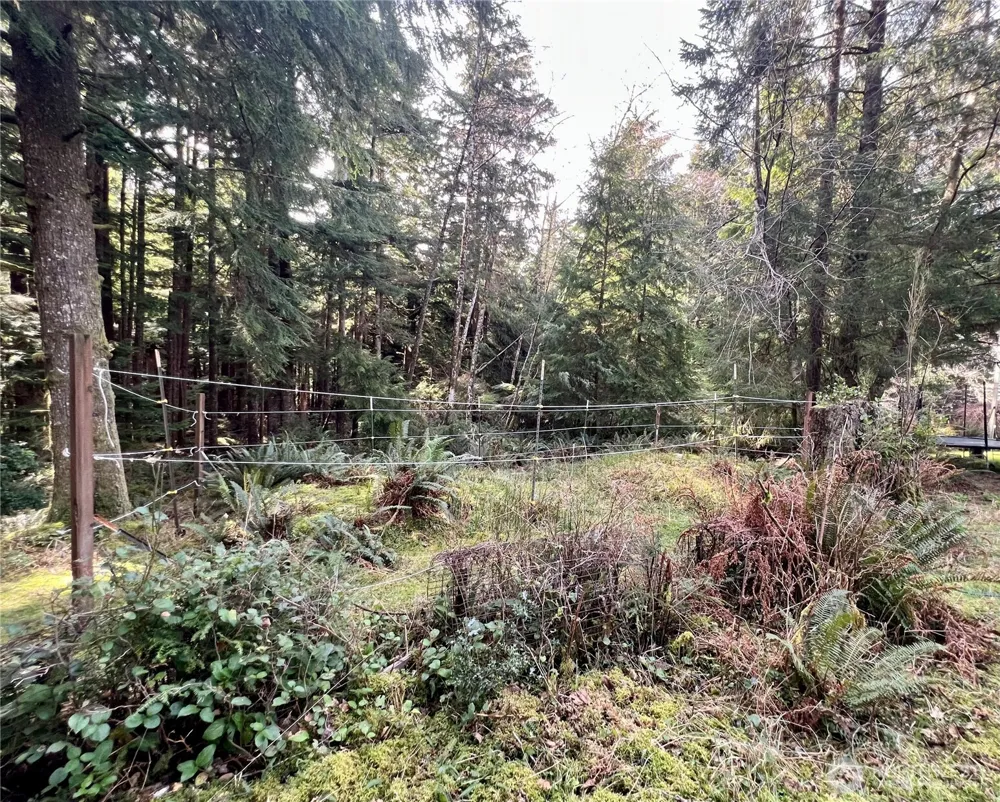 26 Lynn Point Lane South Bend, WA 98586