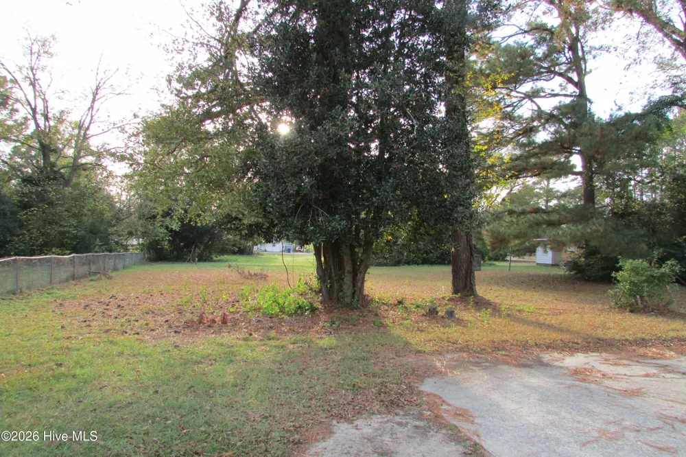 803 Mc Koy Street Clinton, NC 28328