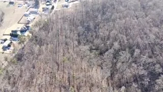 Pearson Road Harrison, TN 37341