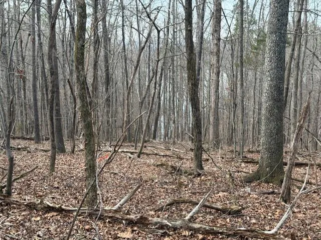 Pearson Road Harrison, TN 37341