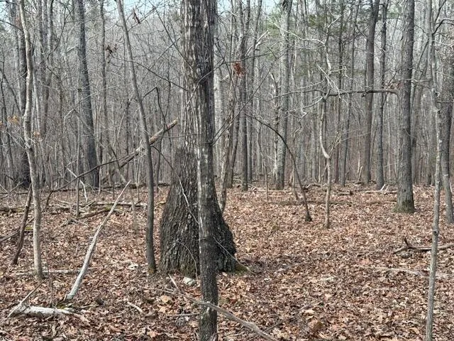 Pearson Road Harrison, TN 37341