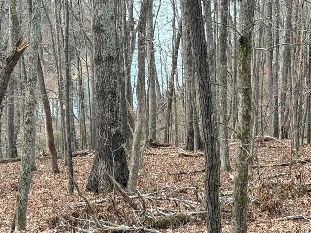 Pearson Road Harrison, TN 37341