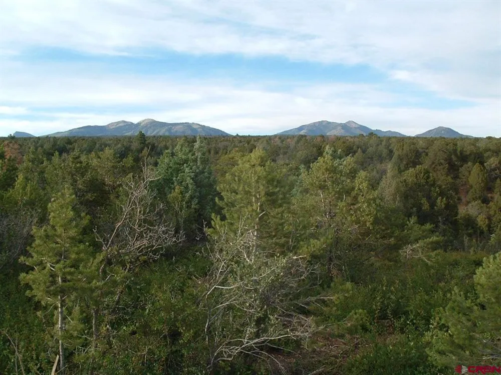 De Oro Way Hesperus, CO 81326