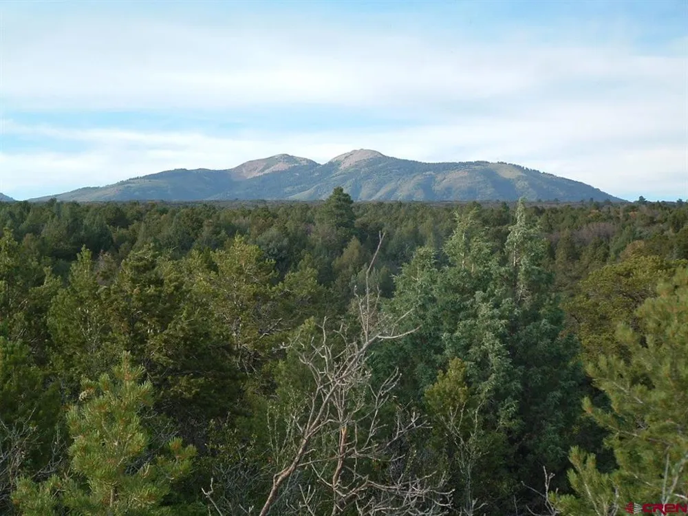 De Oro Way Hesperus, CO 81326
