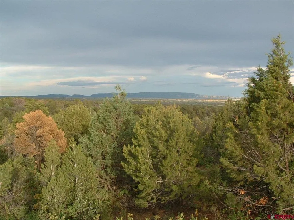 De Oro Way Hesperus, CO 81326