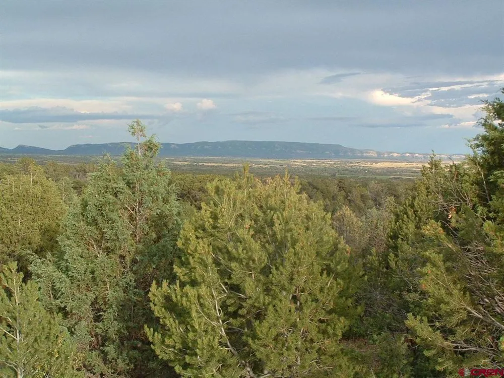 De Oro Way Hesperus, CO 81326