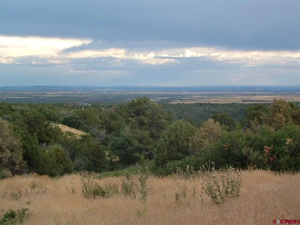 De Oro Way Hesperus, CO 81326