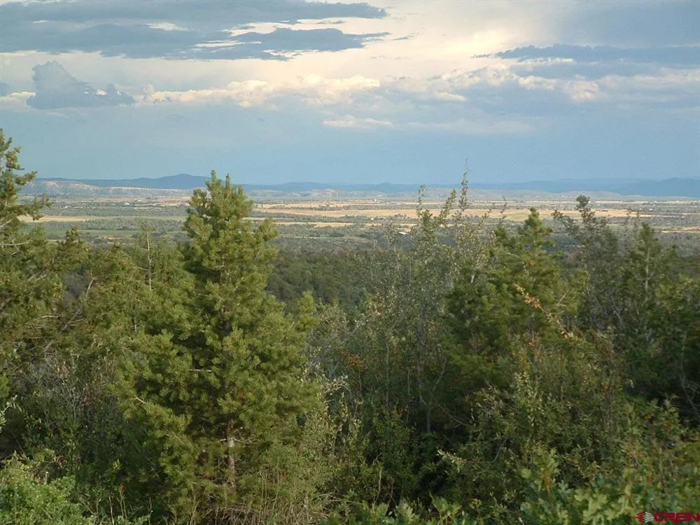 De Oro Way Hesperus, CO 81326