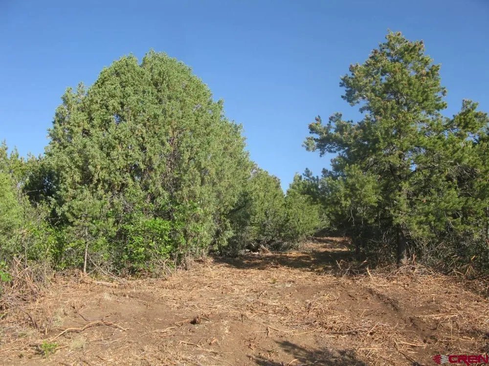 De Oro Way Hesperus, CO 81326