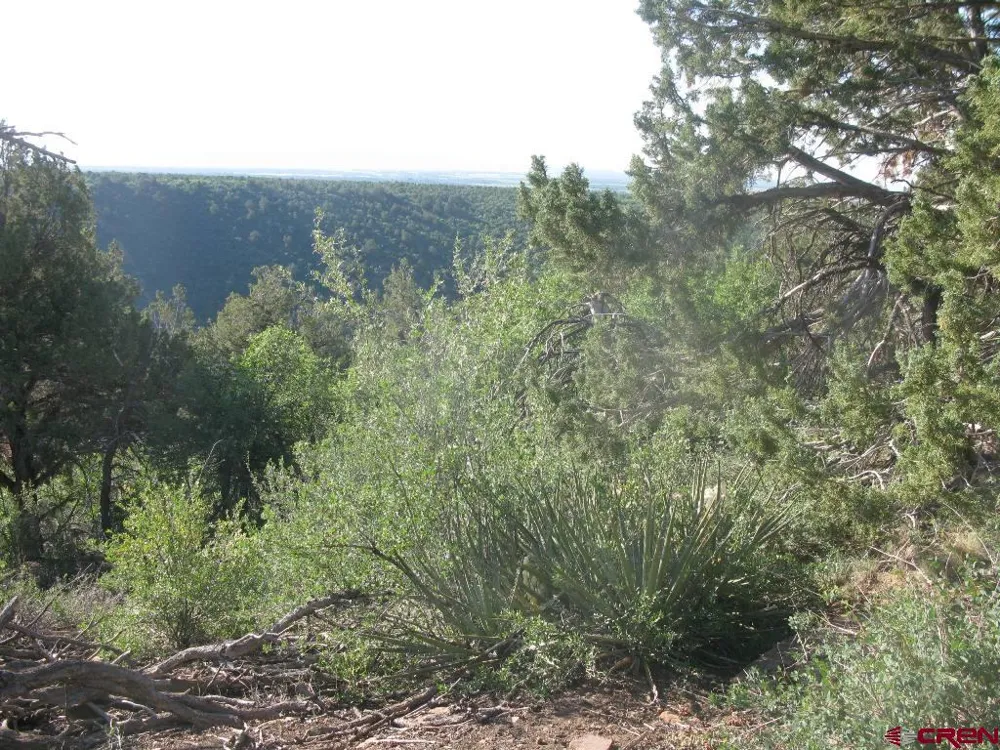 De Oro Way Hesperus, CO 81326