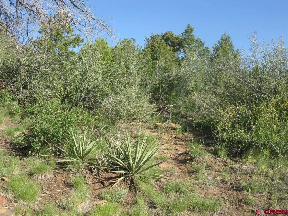 De Oro Way Hesperus, CO 81326