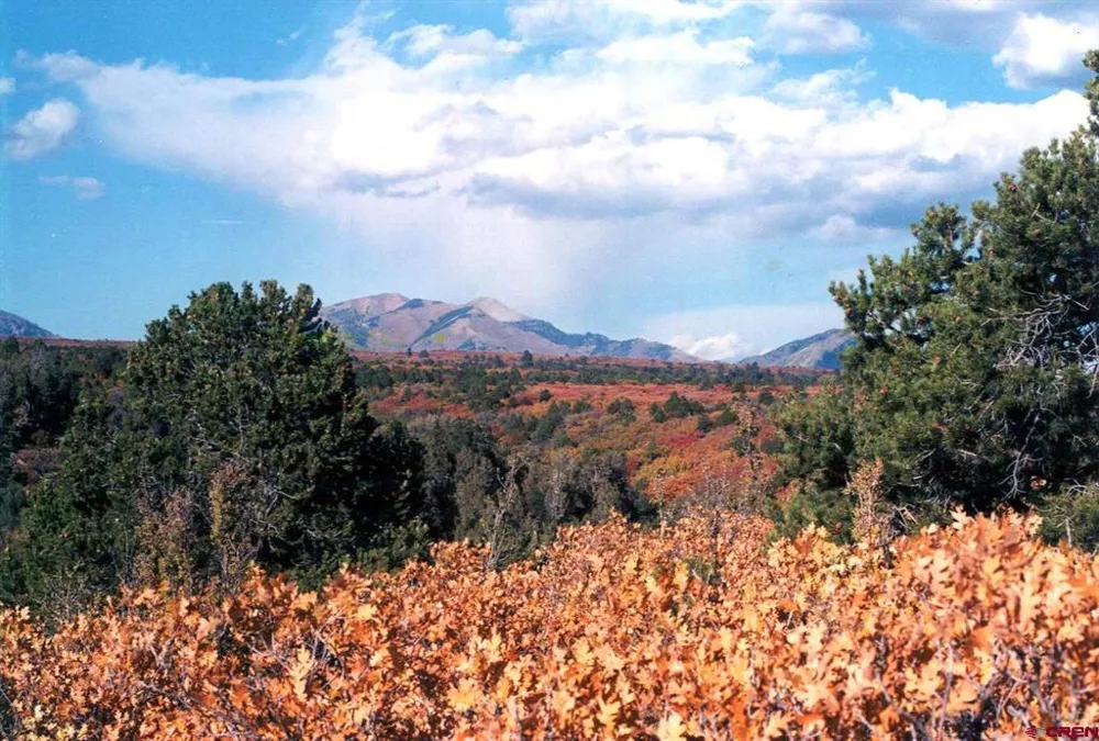 De Oro Way Hesperus, CO 81326