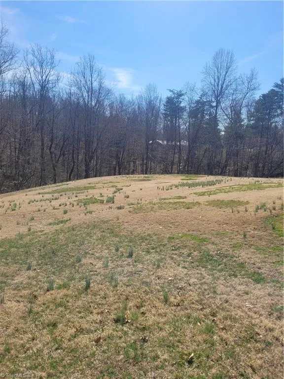 250 Hilltop Acres Street North Wilkesboro, NC 28659
