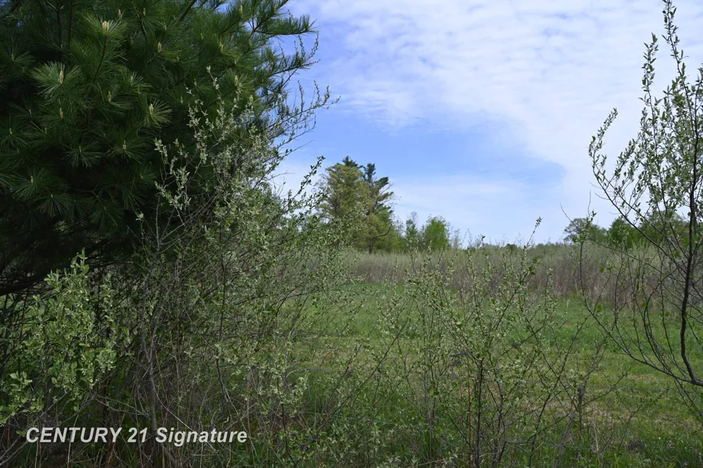 150 E Winegars Road Hay Township, MI 48624