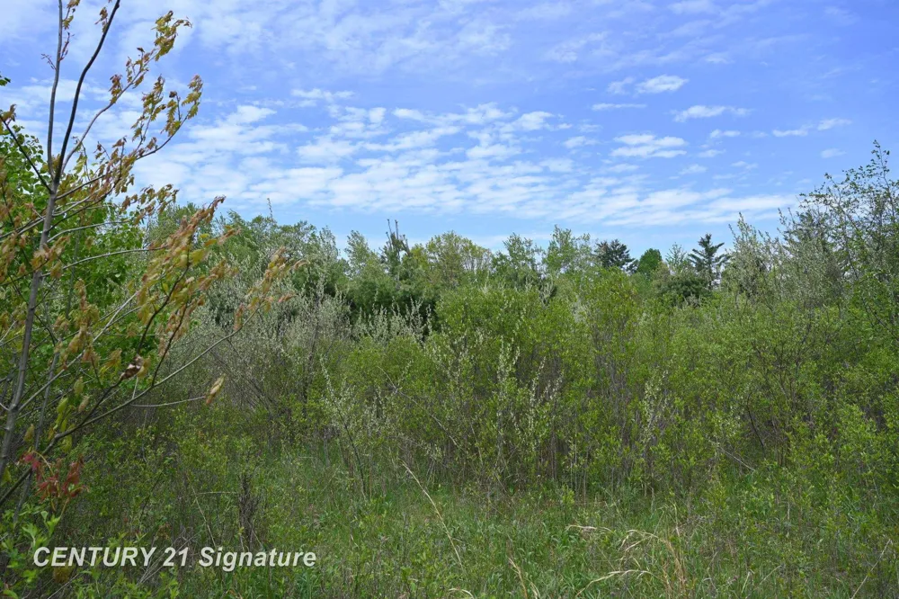 150 E Winegars Road Hay Township, MI 48624