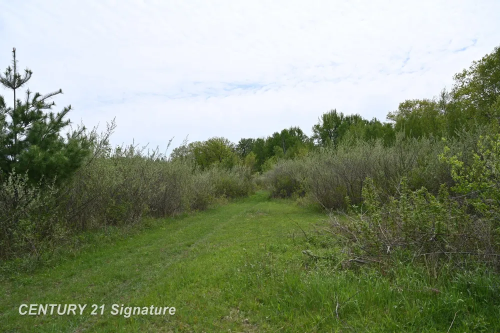 150 E Winegars Road Hay Township, MI 48624