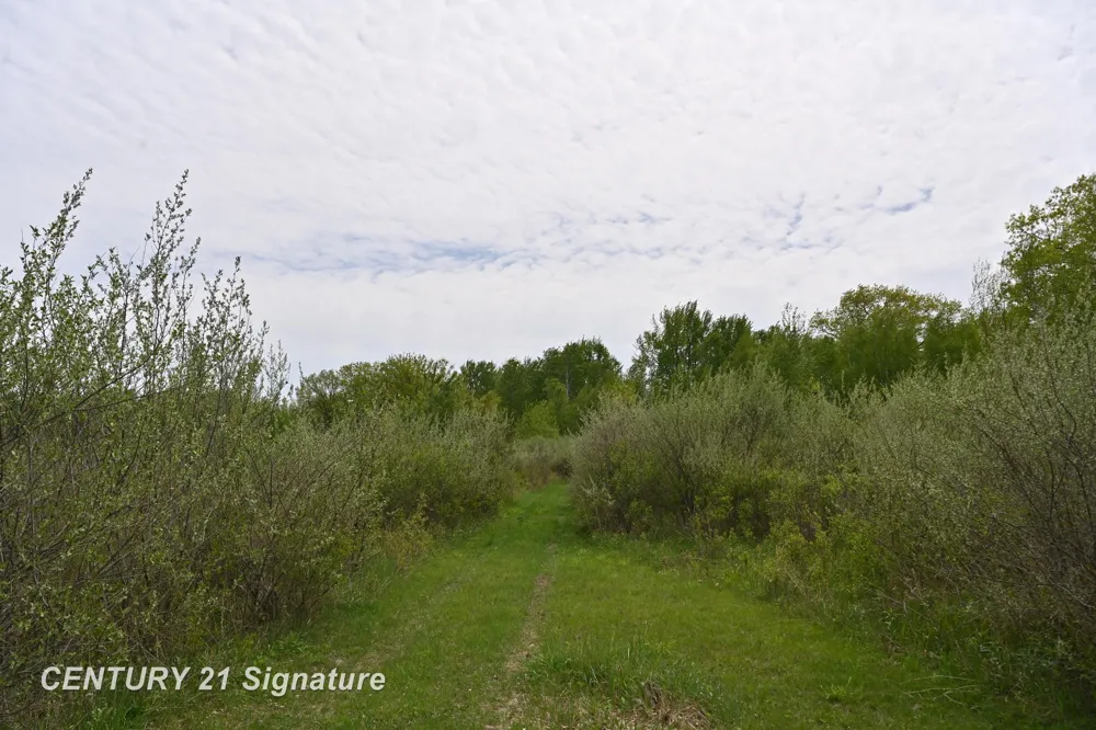 150 E Winegars Road Hay Township, MI 48624
