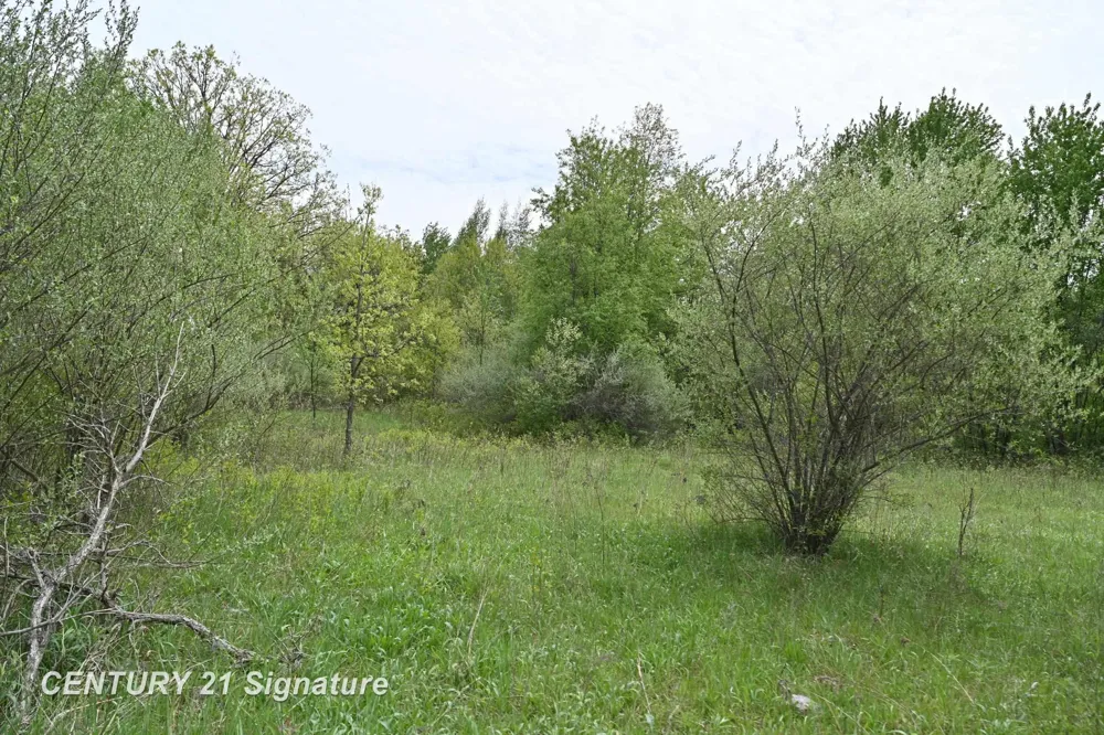 150 E Winegars Road Hay Township, MI 48624