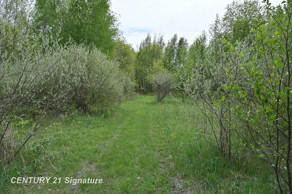 150 E Winegars Road Hay Township, MI 48624
