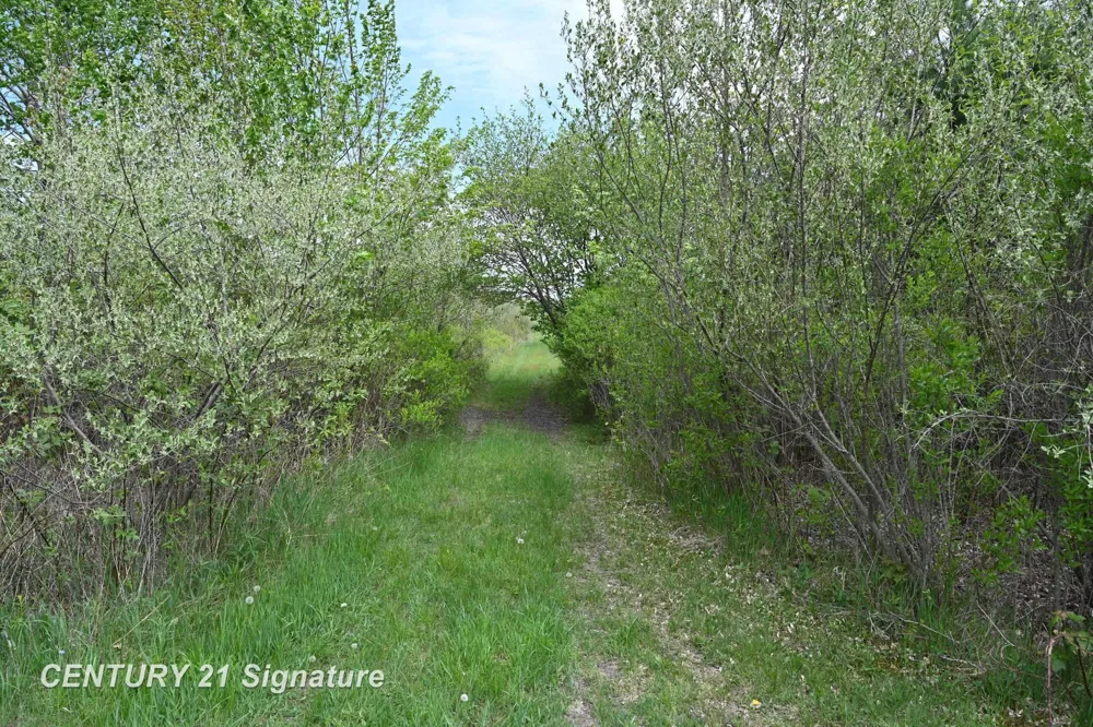 150 E Winegars Road Hay Township, MI 48624