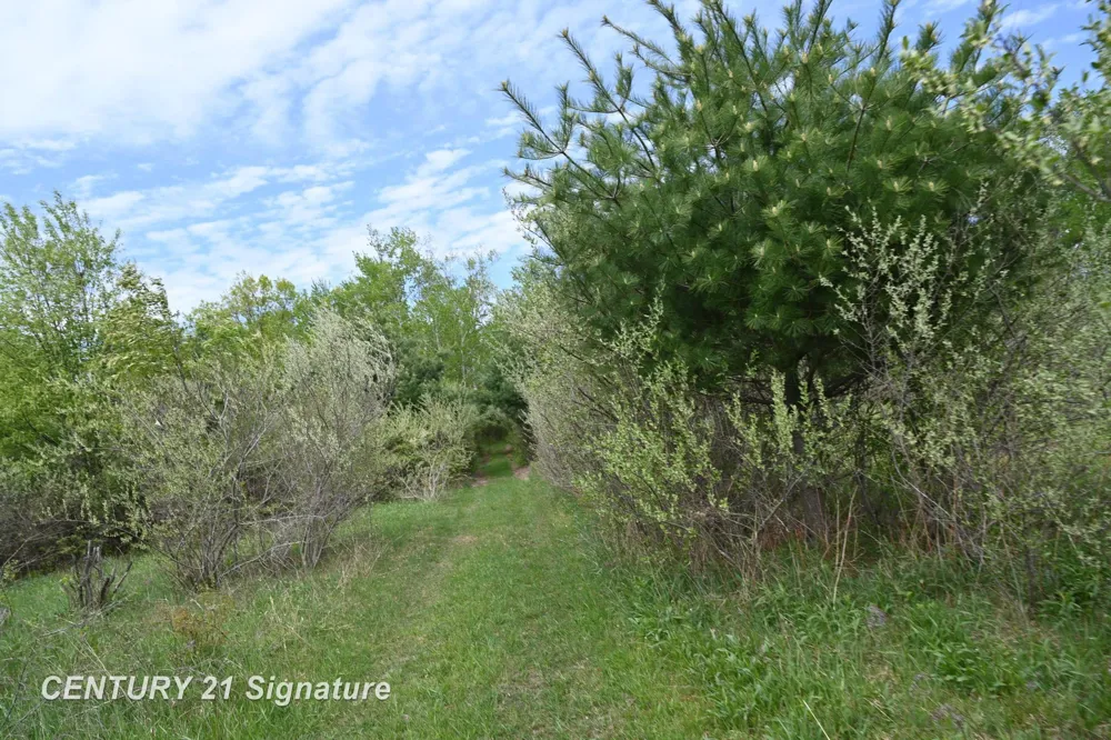 150 E Winegars Road Hay Township, MI 48624