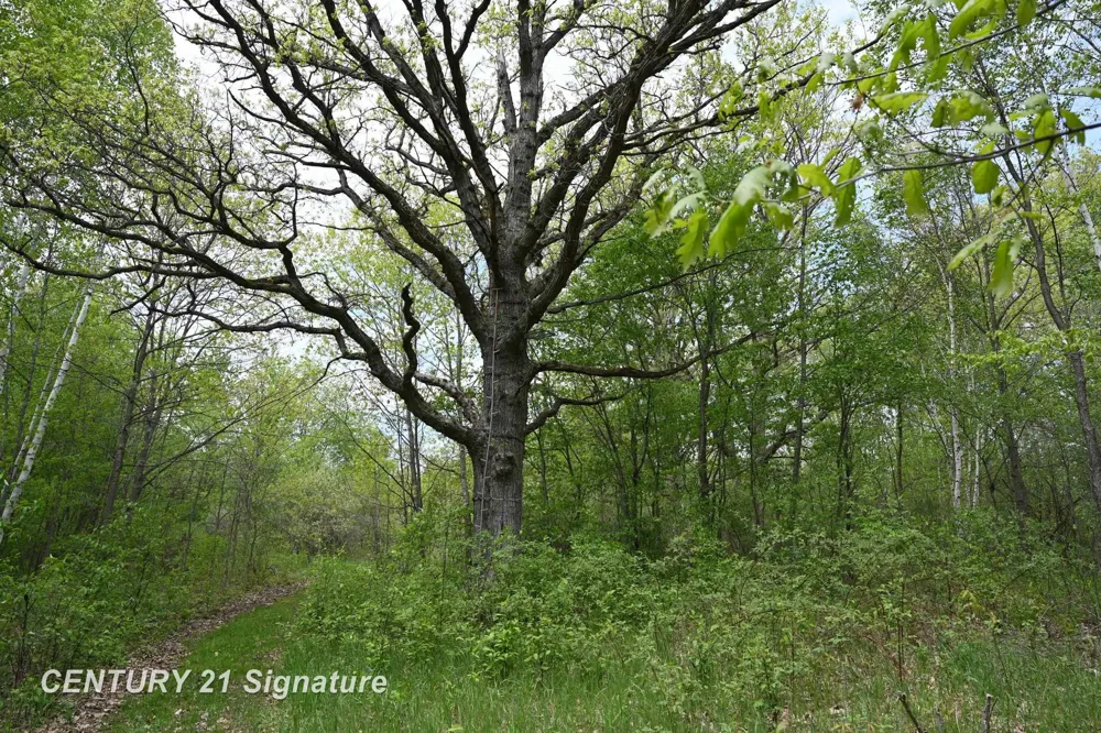 150 E Winegars Road Hay Township, MI 48624