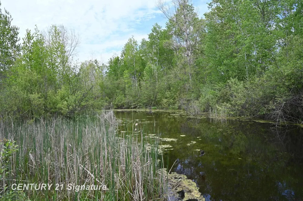 150 E Winegars Road Hay Township, MI 48624