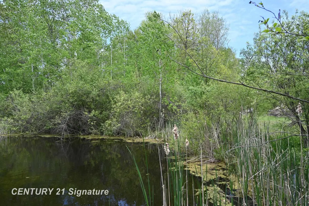 150 E Winegars Road Hay Township, MI 48624